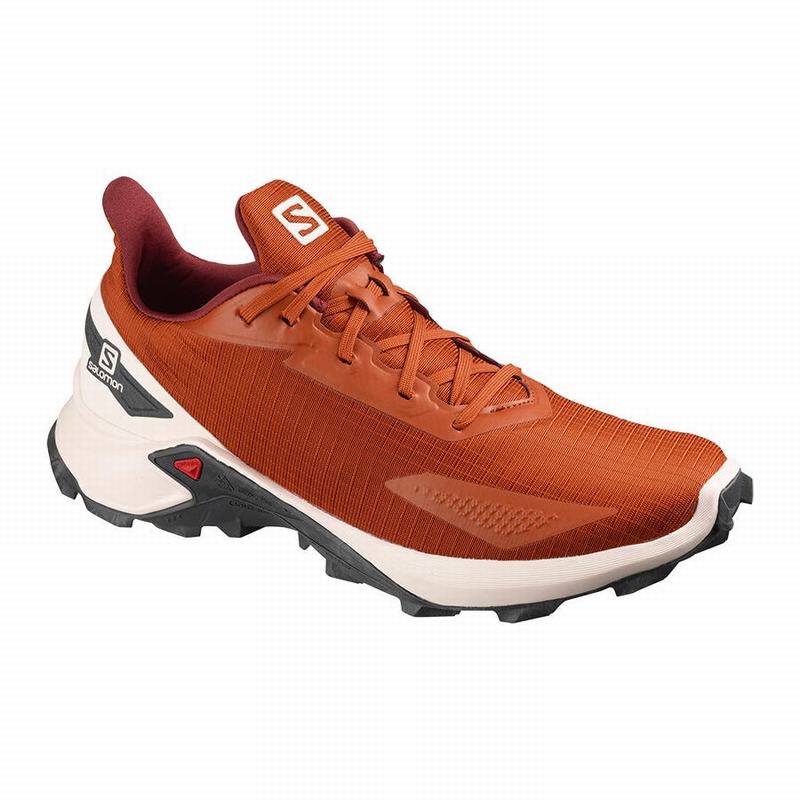 Chaussures De Trail Running Salomon Homme Orange - Salomon ALPHACROSS BLAST - France (5730-MPUZK)